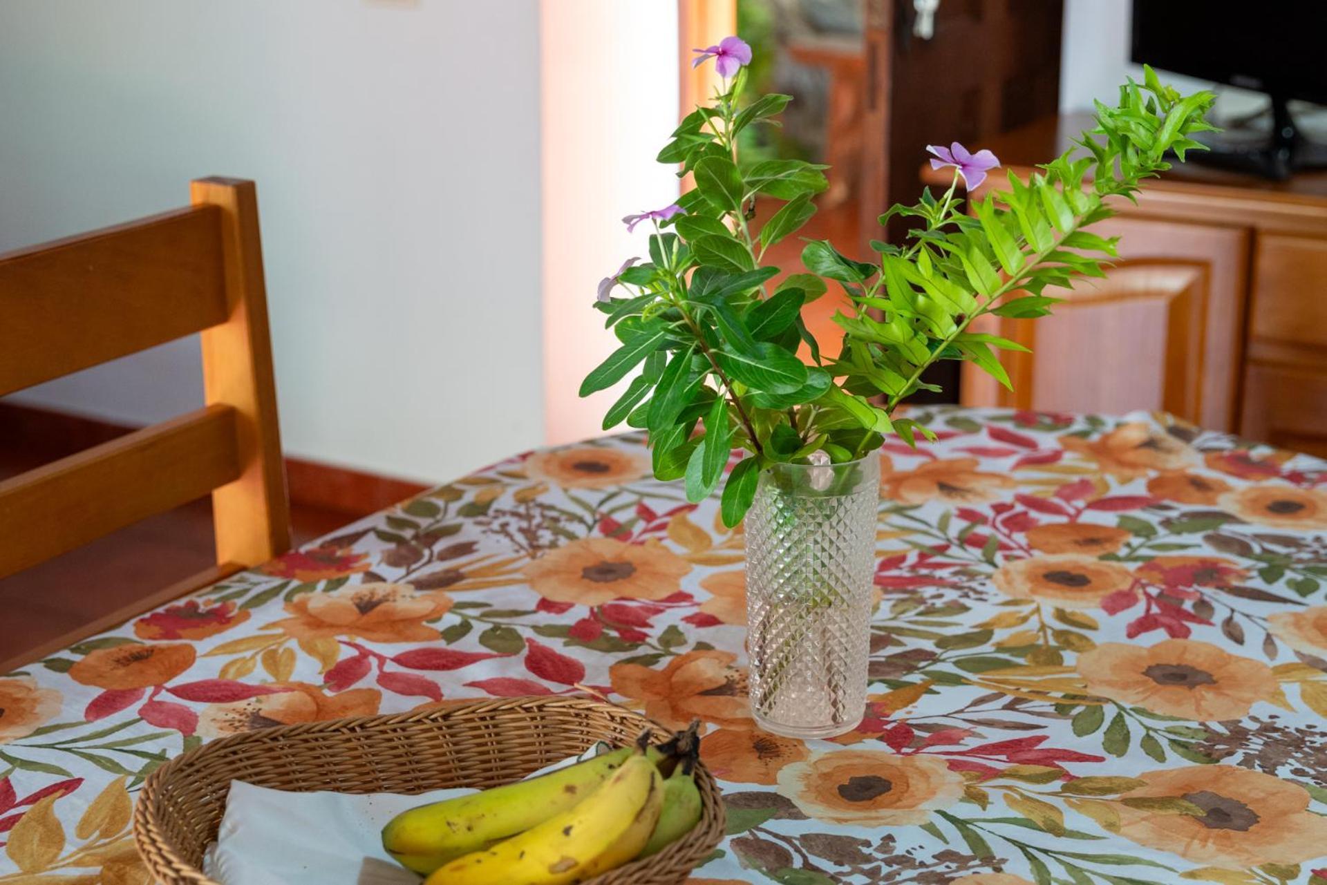 Casa Rural Las Nuevitas I 헤르미가 외부 사진