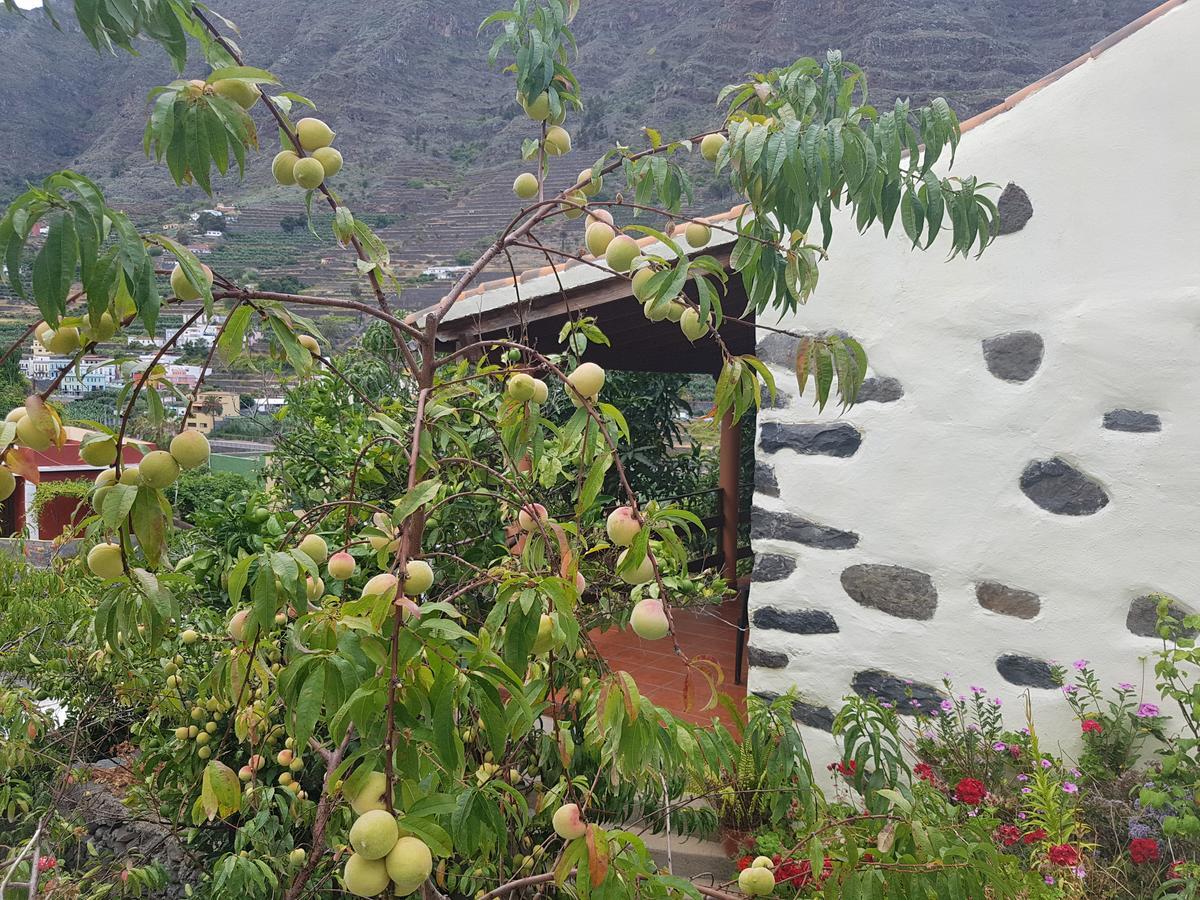 Casa Rural Las Nuevitas I 헤르미가 외부 사진